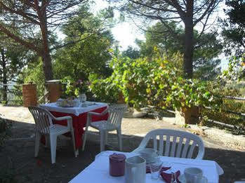 Il Poggetto Castellina Marittima
